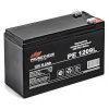 АКБ Prometheus Energy PE 1209L